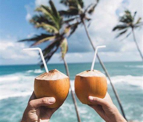 King Coconut, the liquid gold