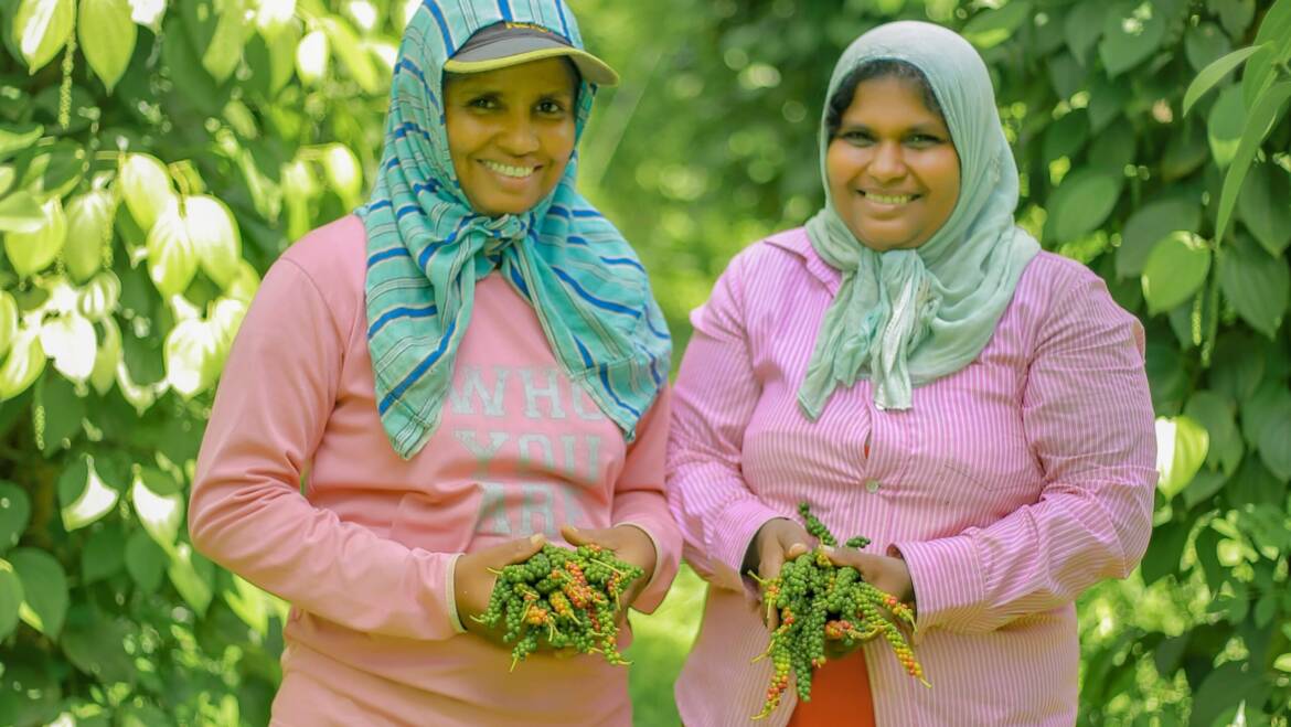 International Day of Happiness : A Day to Celebrate Joy and Well-Being